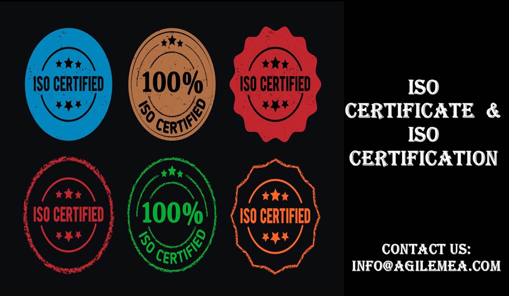 A group of different colored seals
AI-generated content may be incorrect.