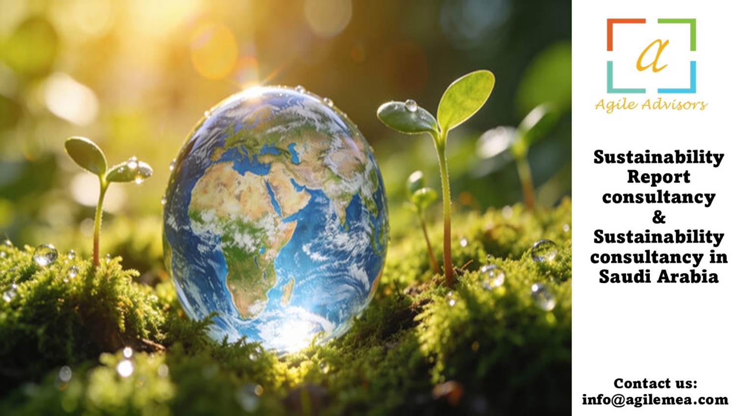 sustainability Report Consultancy