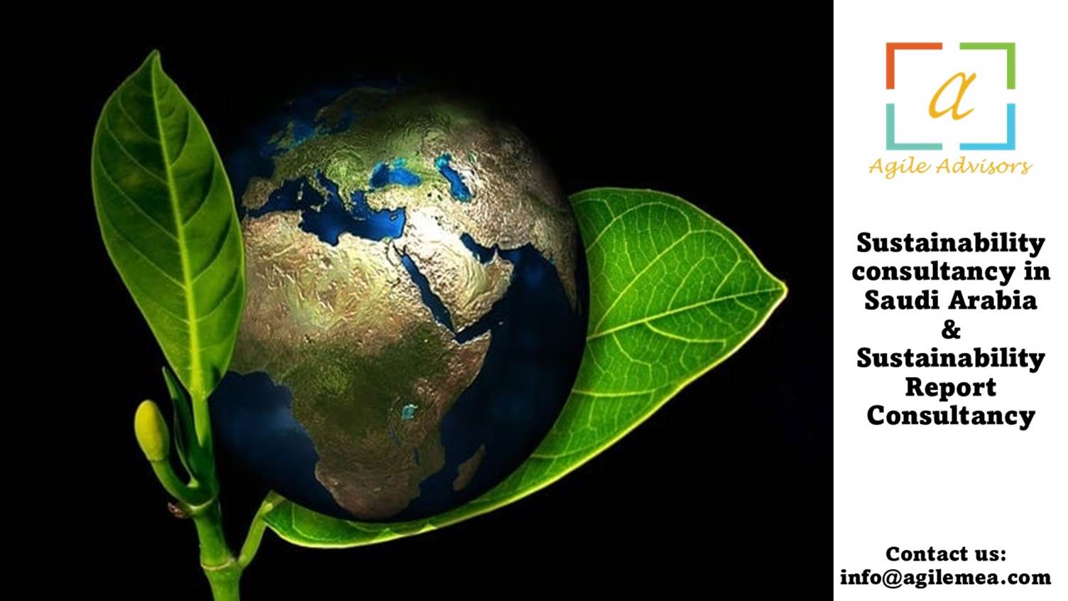 Sustainability Consultancy in Saudi Arabia