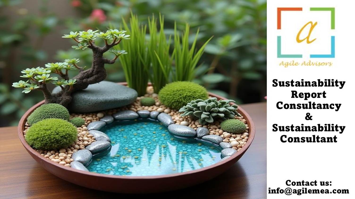 A small potted plant with a pond and plants
AI-generated content may be incorrect.