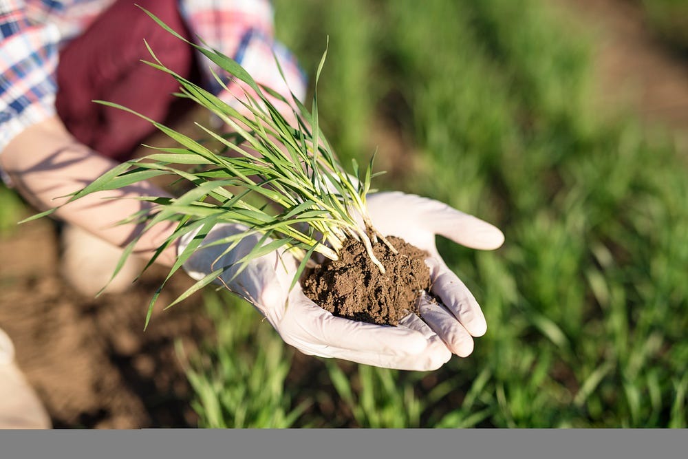 Crop Management