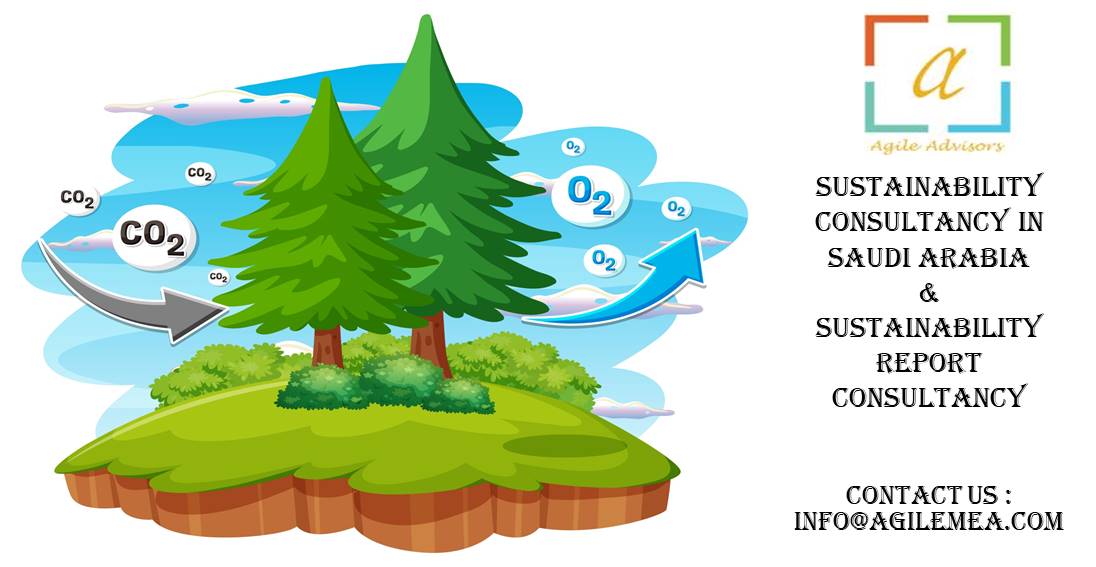 sustainability consultancy in Saudi Arabia