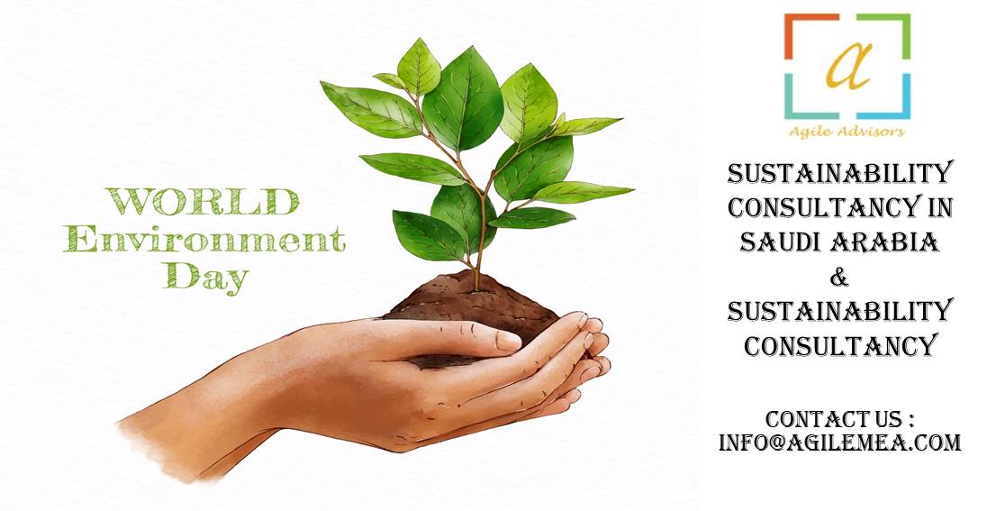 Sustainability Consultancy