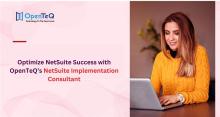 NetSuite Implementation Consultant