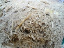 https://zarea.pk/product/bagasse/