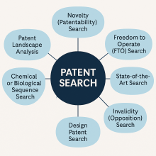 Patent Search Services