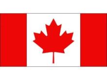  Canada Flags For Sale