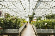 greenhouse equipment suppliers
