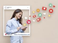 Instagram Followers Panel