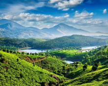 Tea Garden Ooty Vlog