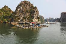 Phu Quoc Honeymoon tours, Phu Quoc honeymoon package, Phu Quoc couple tour package, Phu Quoc couple tours, Phu Quoc honeymoon tour package