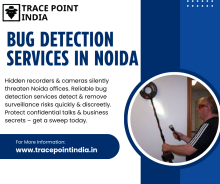  Bug Detection services in Noida - Trace Point India