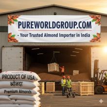 Cashew nuts wholesaler in India