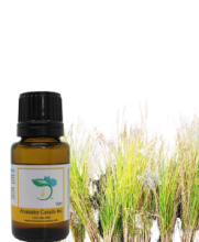 Vetiver Essential Oil
