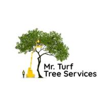 Tree Planting Services
