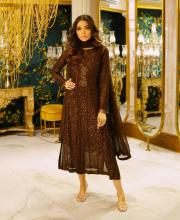 women worn a pakistani outfit in a stylish pose