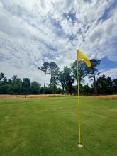 Golf course