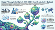 Primary Cells, Primary Cells Industry, Primary Cells Market, Primary Cells Market Size, Primary Cells Market Share, Primary Cells Market Trends, Primary Cells Market Growth, Primary Cells Market Demand