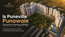 Puneville punawale