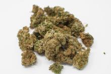 Buy Weed Online in Saskatchewan,Online Dispensary Saskatchewan