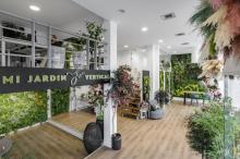 Jardineria vertical