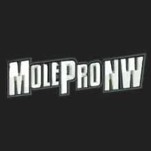 Mole Extermination