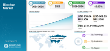 Biochar, Biochar Industry, Biochar Market, Biochar Market Size, Biochar Market Share, Biochar Market Trends, Biochar Market Growth, Biochar Market Demand