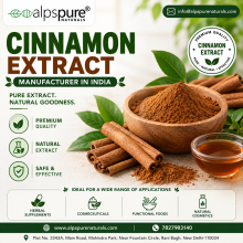 Cinnamon Extract Manufacturer in Delhi, Cinnamon Extract Supplier in India