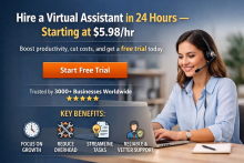 Executive Virtual Assistant