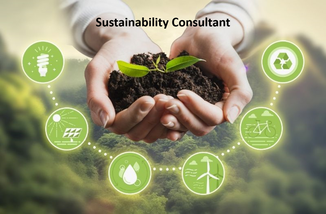 Sustainabilty 