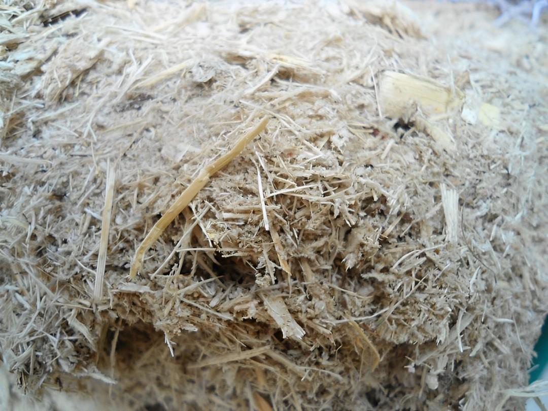 https://zarea.pk/product/bagasse/