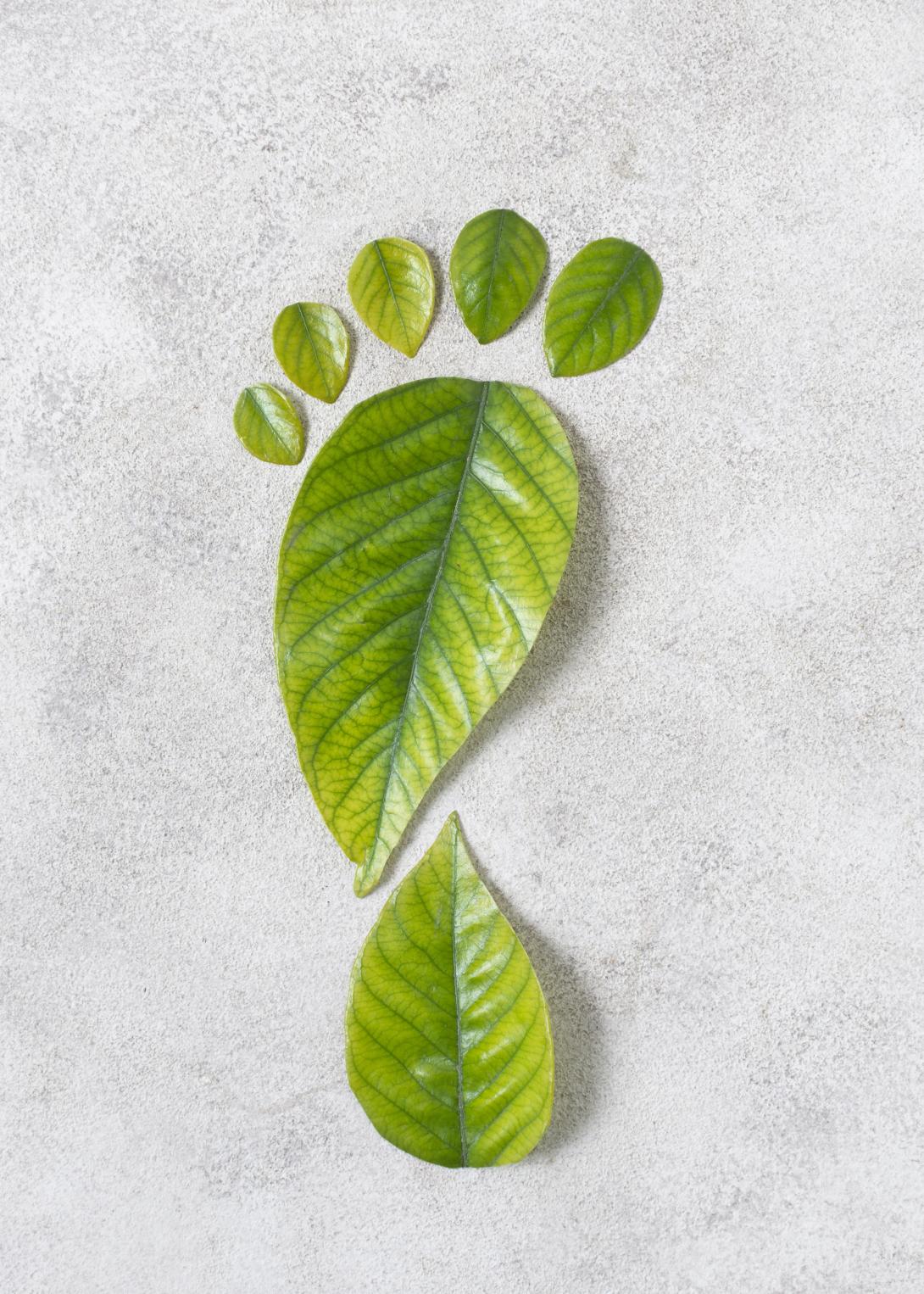 Looking for a reliable carbon footprint consultant in Oman? Agile Advisors helps businesses measure, reduce, and offset carbon emissions with expert strategies for sustainability and compliance.