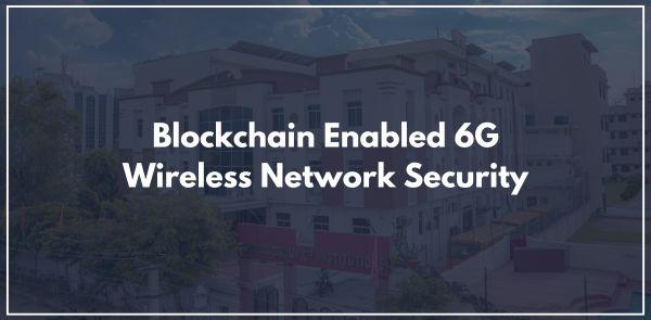Blockchain Enabled 6G Wireless Network Security