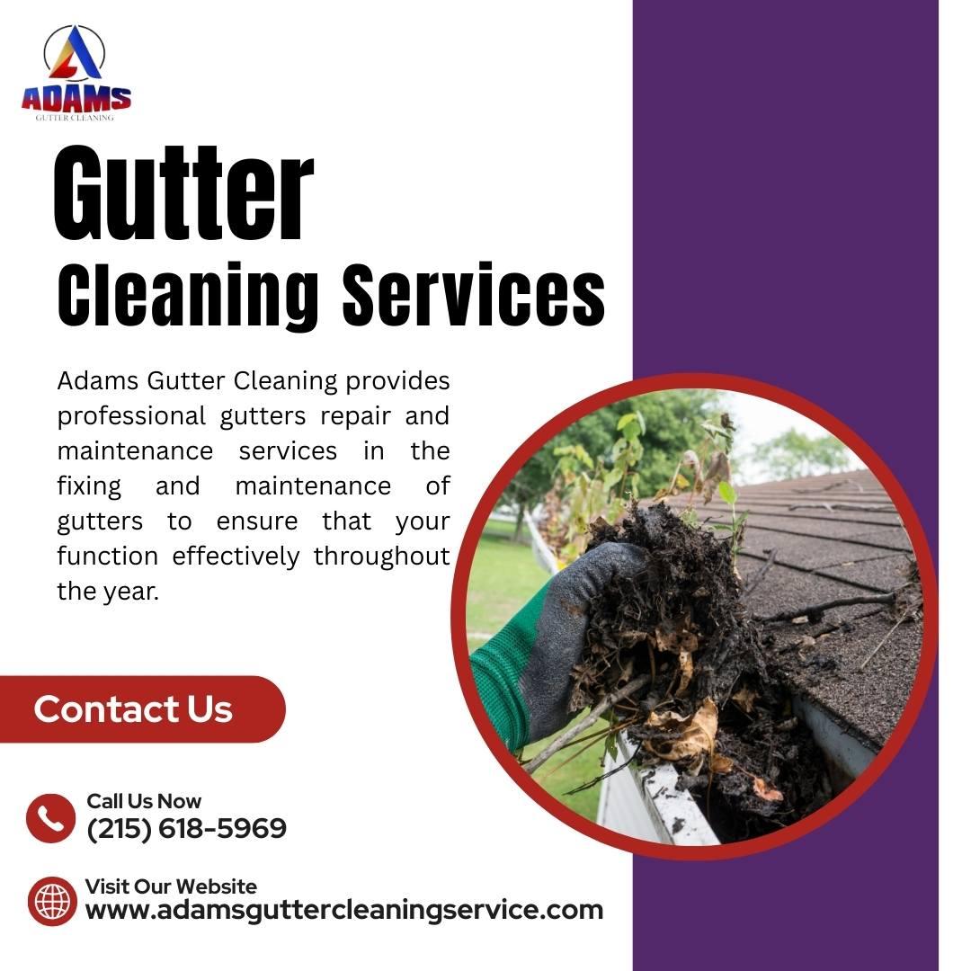 Best Gutter Cleaning Services 