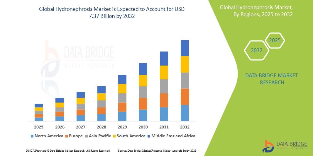 Hydronephrosis Market 