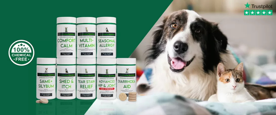 dog vitamins
