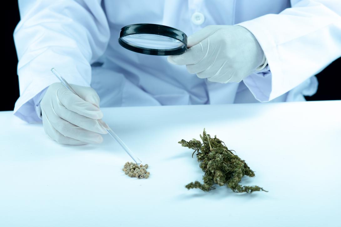 Kentucky Medical Marijuana Cards & Cannabis Information 