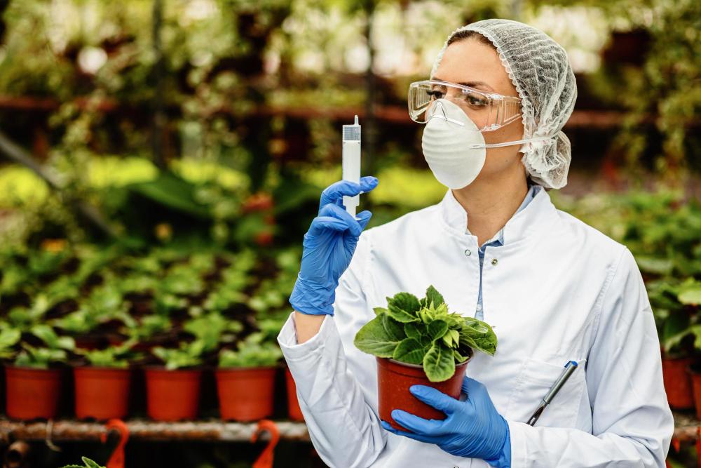  Plant Incorporated Protectants Market 