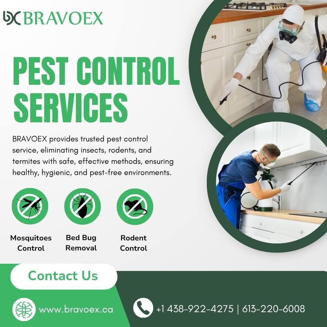 PestControlServices, Bravoex, OttawaPestExperts, EcoFriendlyPestControl, InsectControlOttawa, ProfessionalPestRemoval,