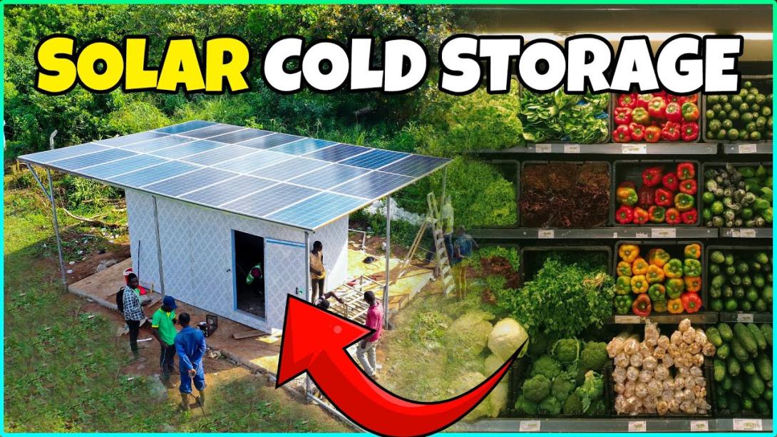 Commercial Solar Panel Installation for Cold Storage Units