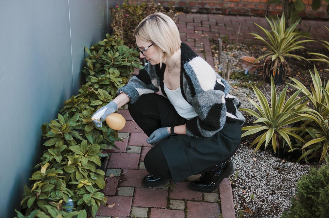 hardscape maintenance service
