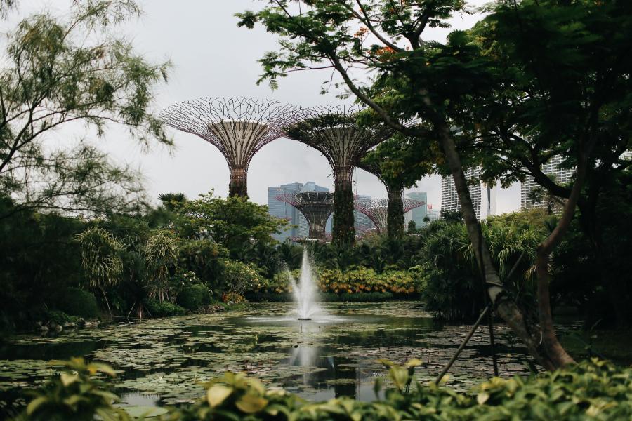 singapore honeymoon tours too perfect for couples
