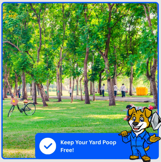 Commercial pet waste removal