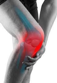 knee rehabilitation program