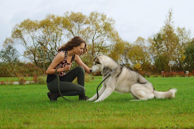 Dog Trainer in Bangalore