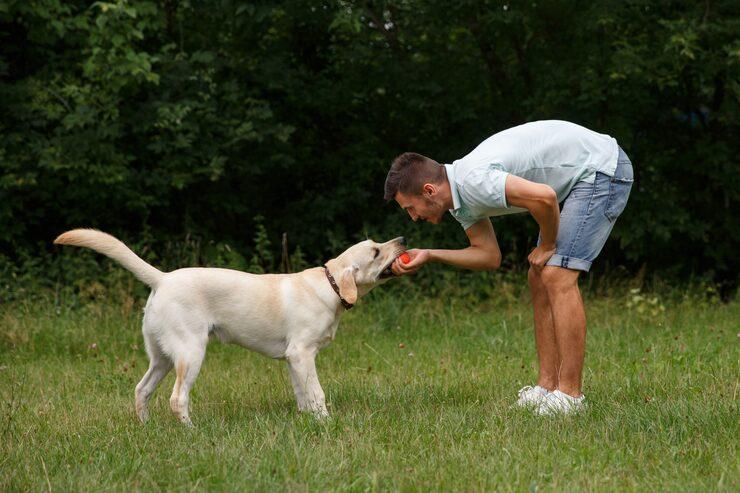 Dog Trainer in Kolkata