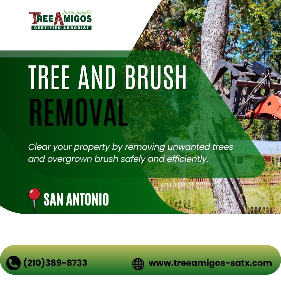 Tree and Brush Removal in San Antonio