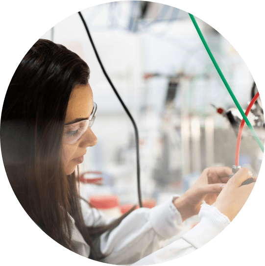 Mold Testing Near Me