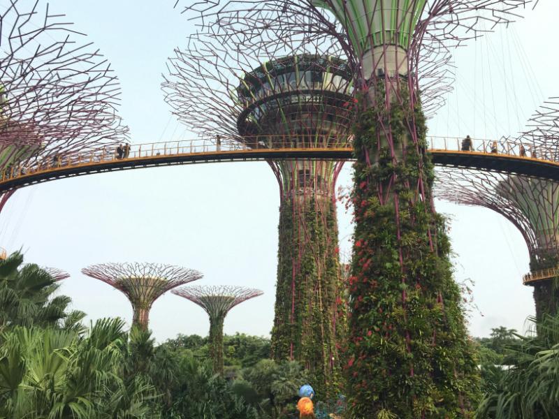  When Singapore Tour Packages Surprise You