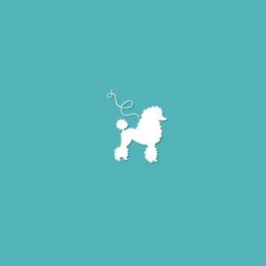 Poodle Breeder